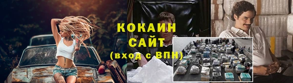 гашик Сосновый Бор