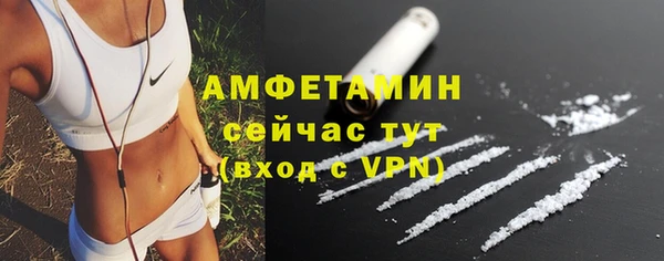 гашик Сосновый Бор