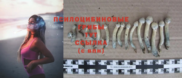 гашик Сосновый Бор