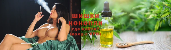 гашик Сосновый Бор