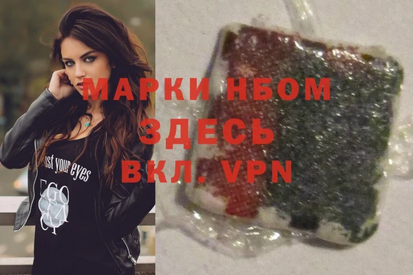 гашик Сосновый Бор