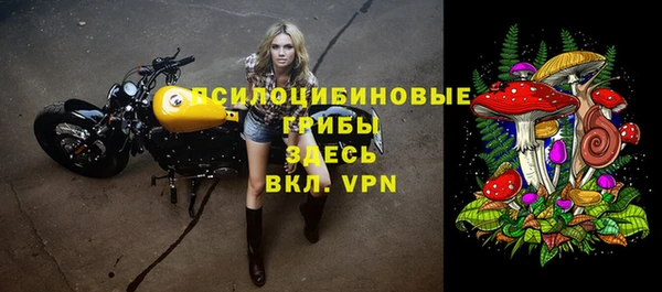 гашик Сосновый Бор