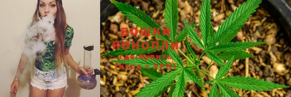 гашик Сосновый Бор