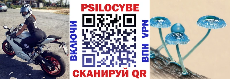 Псилоцибиновые грибы GOLDEN TEACHER  Трубчевск 